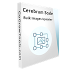 Cerebrum Scale : AI Offline Bulk Images Upscaler