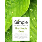 Gratitude Ideas (Mac & PC) Discount