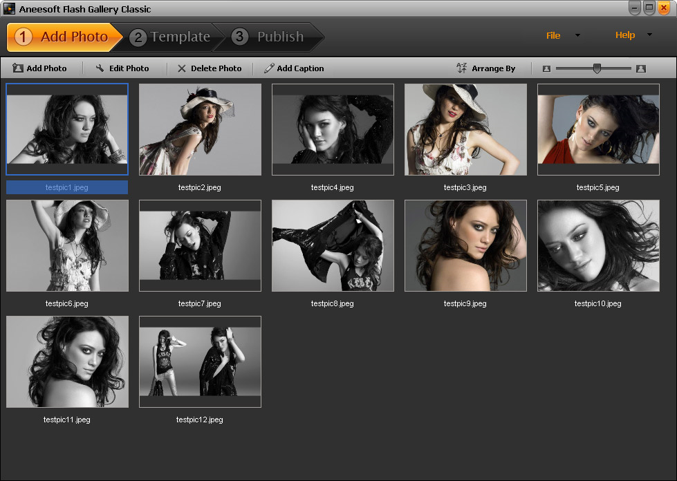 aneesoft-flash-gallery-classic-ypf9w.png