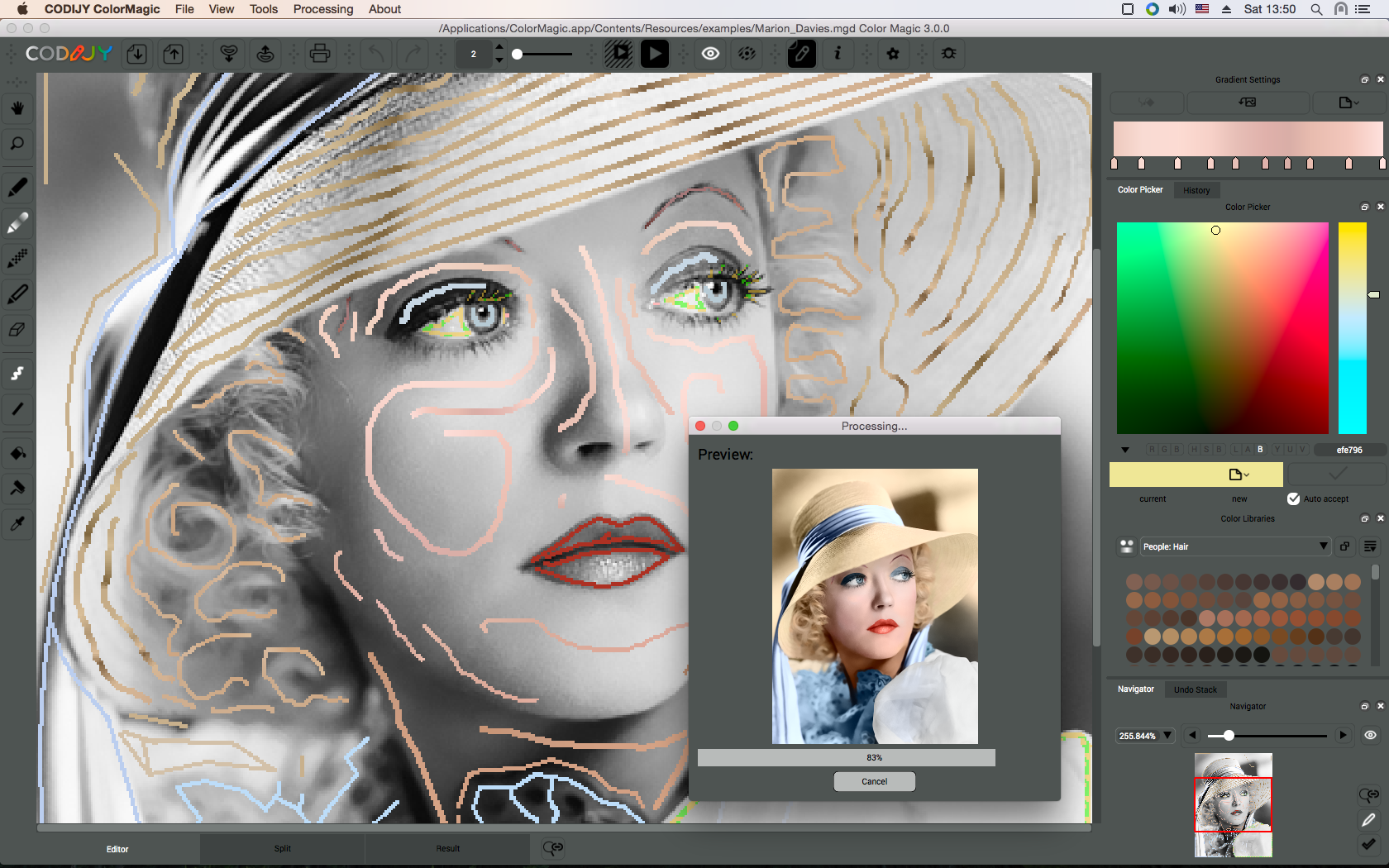 portrait professional download for mac