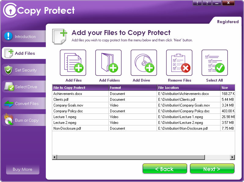 illegal copying of software is called
