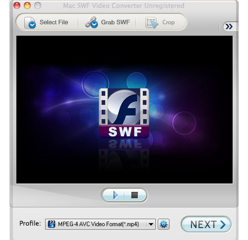 swf to video converter full