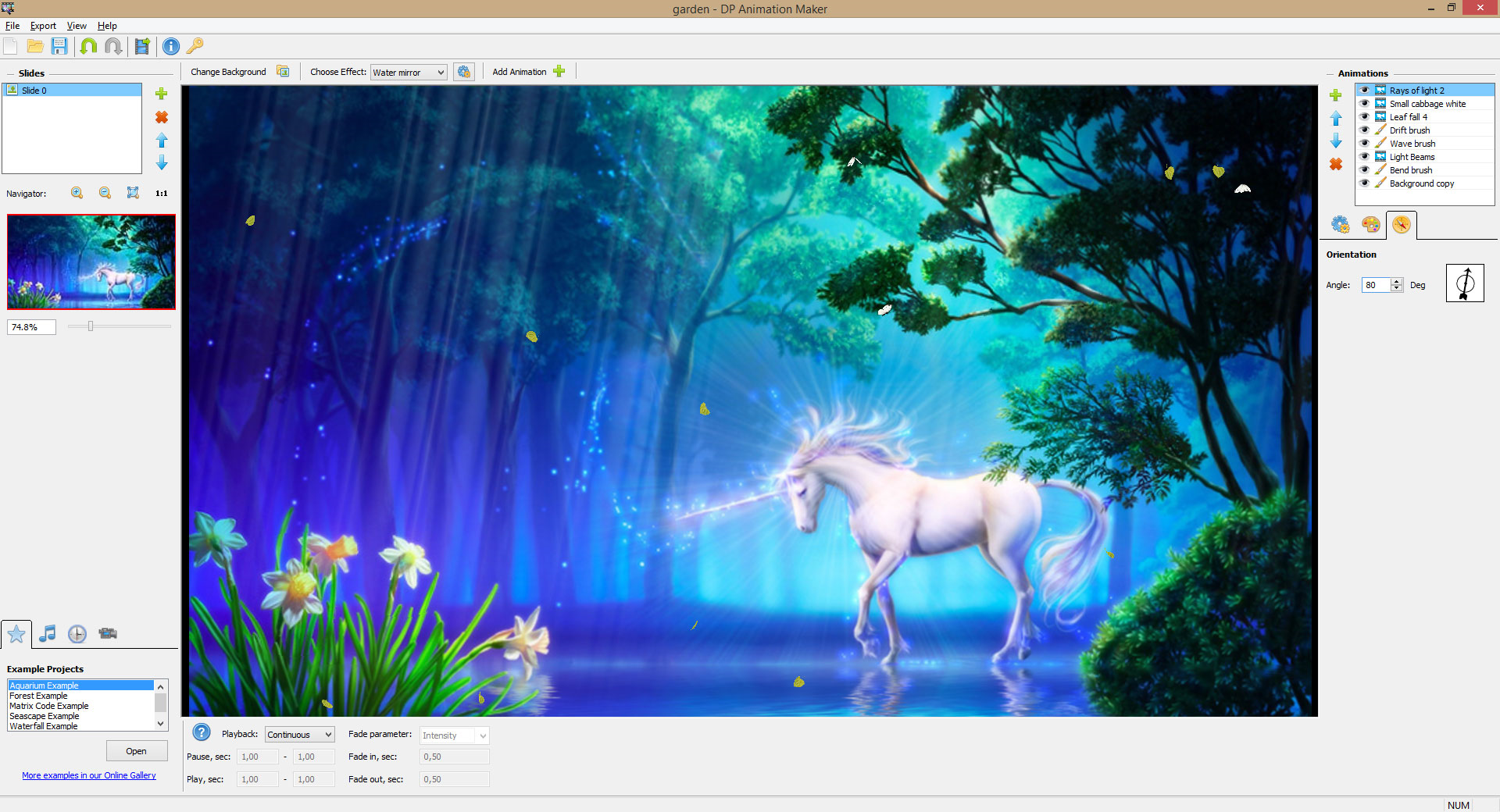instaling DP Animation Maker 3.5.19