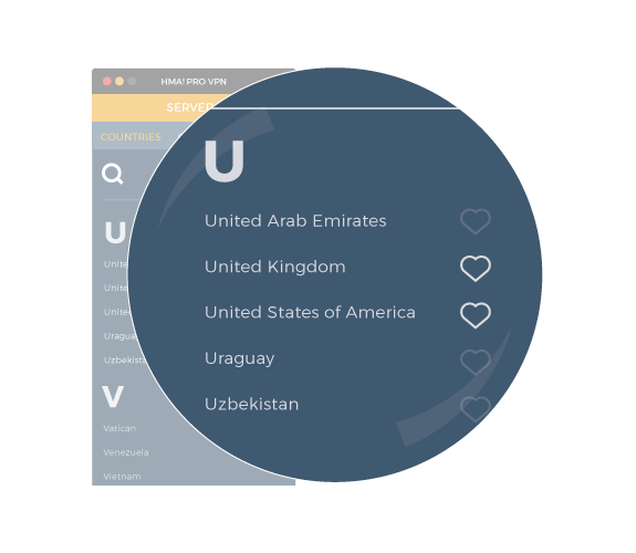 hidemyass vpn config