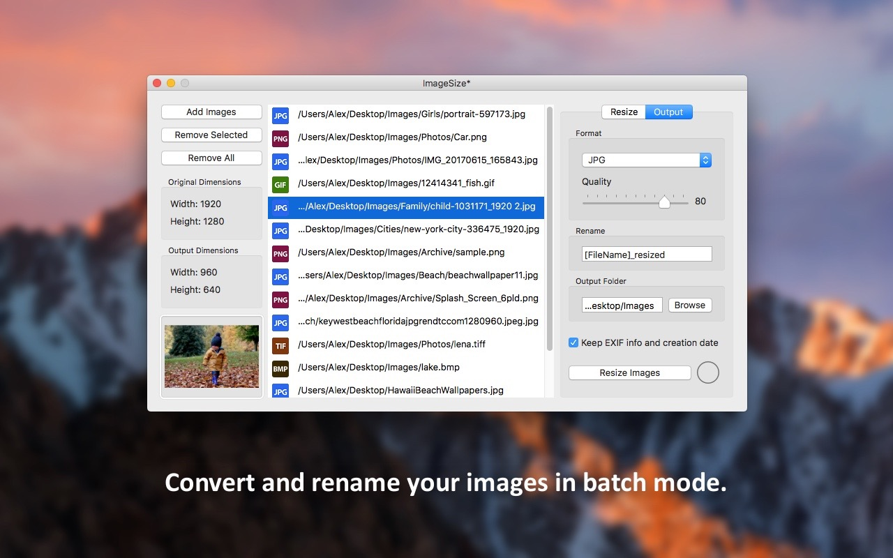 free for mac instal Bulk Image Downloader 6.27