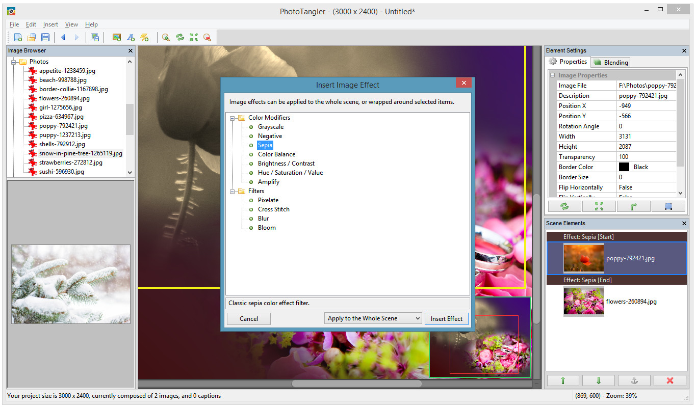 Photo editing (Windows)