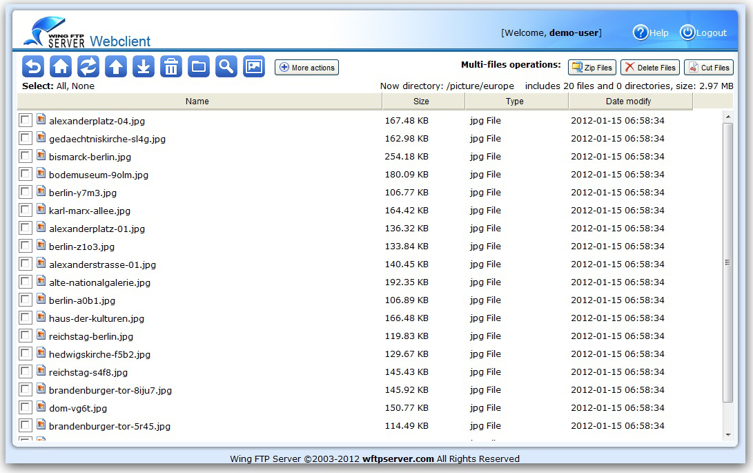 wing ftp server 4.1.3